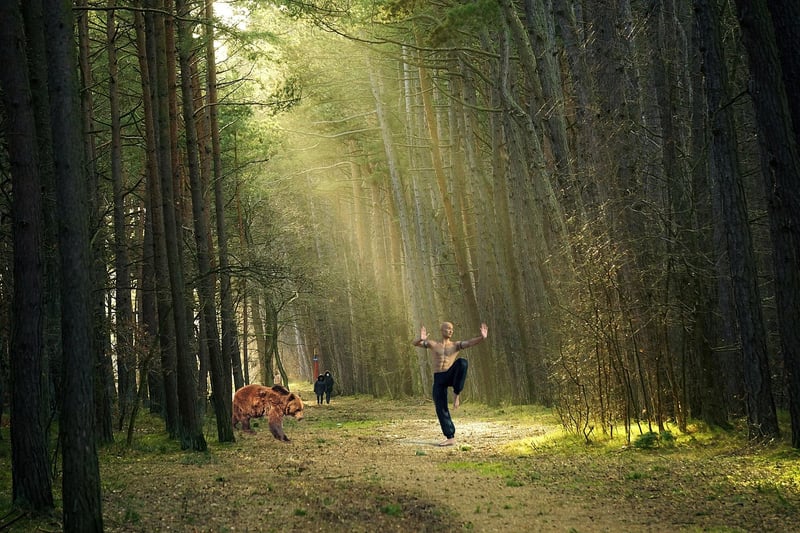 Sun Style Tai Chi